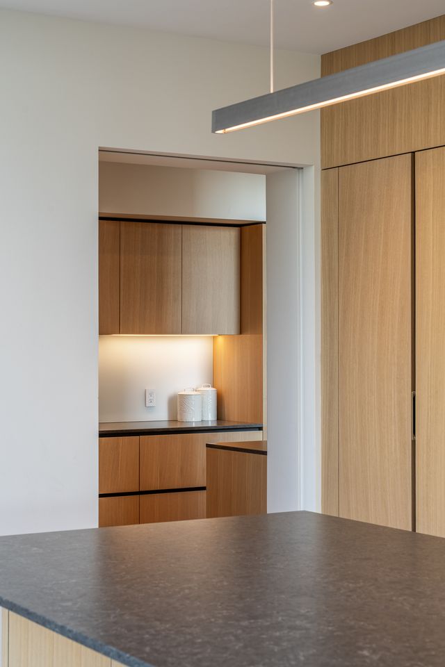 Marble countertop in modern luxury kitchen
